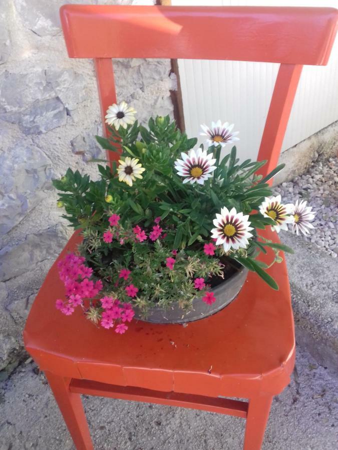 Apartment Rojal Mali Lošinj Dış mekan fotoğraf